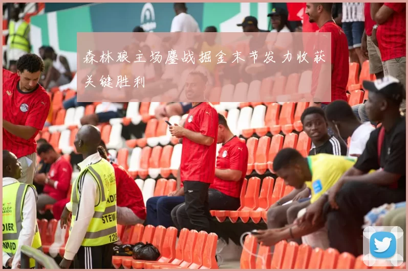 森林狼主场鏖战掘金末节发力收获关键胜利