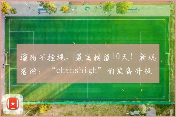 遛狗不拴绳，最高拘留10天！新规落地，“chanshigh”们装备升级
