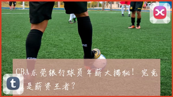 CBA东莞银行球员年薪大揭秘！究竟谁是薪资王者？