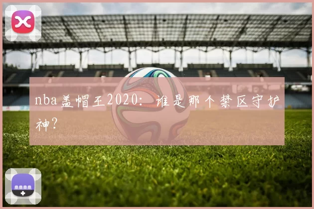 nba盖帽王2020：谁是那个禁区守护神？