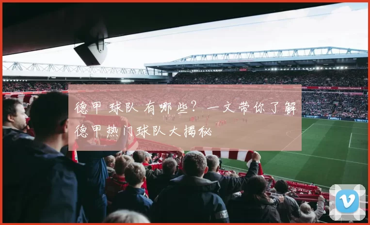 德甲 球队 有哪些？一文带你了解德甲热门球队大揭秘