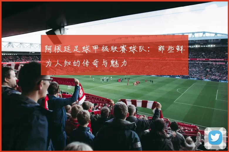 阿根廷足球甲级联赛球队:那些鲜为人知的传奇与魅力