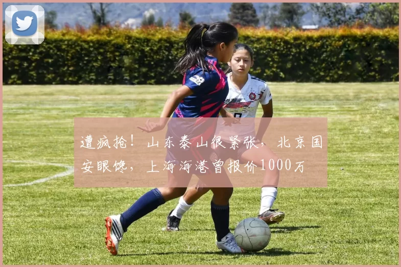 遭疯抢！山东泰山很紧张，北京国安眼馋，上海海港曾报价1000万